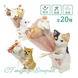 Iׂ郁bZ[WJ[htyCT~ju[Pzv[g Mtg a }XRbg u 킢  ԑ R L h lR ˂ L AV ~P n`   NVo V