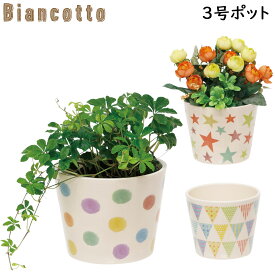 楽天市場 お花 ポットの通販