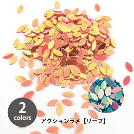 【ワークショップパーツ】 アクション ラメ B-15 リーフレッド B-16 リーフブルー 【グリッター ラメパウダー キラキラ スノードーム 手作りキット】 小学生 工作キット 簡単 冬休み クリスマス 自由研究 プレゼント