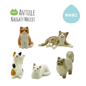 [NVbvp[c tBMA ~j`A l` m[eB[~j}XRbg ނlR n` ~P V tlR L Xm[h[ Lbg Xm[{[ EH[^[h[ e