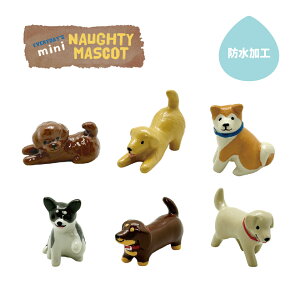 [NVbv p[c tBMA l` m[eB[ ~j}XRbg gCv[h S[f Hc ` ~j`A_bNXtg uh[ go[ Xm[h[  Xm