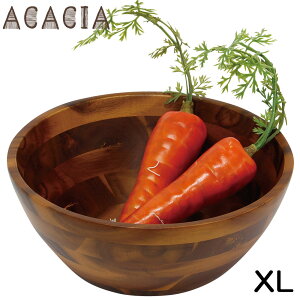 ya23cm ؐHz AJVA T_{[2^ XLTCY y JtF ؂̐H T_{E M VRf xgiz