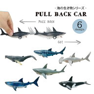 【 海の生き物 】 プルバックカー 全6種類 クジラ サメ シャチ 【 子供 子ども キッズ 玩具 おもちゃ 】 …