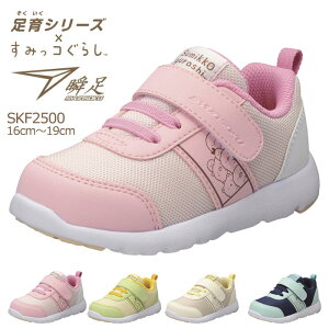 u u݂R炵vf SKF2500 V\N LbY WjAX j[J[ uLbY@Xj[J[ 3E C250