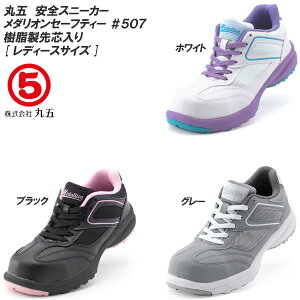 ی/}S _IZ[teB[#507 fB[XTCY SC [22.5cm`25.0cm]SXj[J[/c/Ռz/V[Y/ƌC/Xj[J[