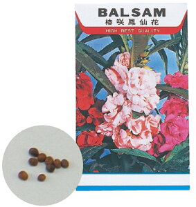 y2743zԂ̎ zEZJ A[ebN