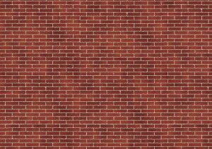 WI}^bNV[g@ԃK@1^12@5gy55669z A[ebN