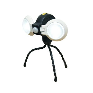 [RITEX][LEDZT[Cg]RɋȂOrłǂłZT[Cg_uASL092