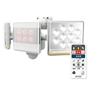 [RITEX]12W×2 t[A[LEDZT[Cg Rt@LED-AC2030/LEDAC2030