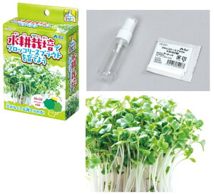 k͔|ŃubR[XvEgĂ悤y55944z A[ebN