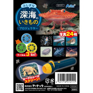 ӂȐ[Ĉ̃vWFN^[y21211z