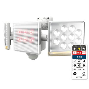 [RITEX]12W×2 t[A[LEDZT[Cg Rt@LED-AC2030/LEDAC2030