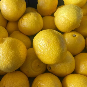 ͂邩@Gi@4Li4kg+ۏؕ200gj݂@F{Y ݂ ~J @nJ@T_݂