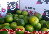 小玉ちゃん　訳あり　約10kg（9kg+保証分500g）熊本みかん フルーツ　グルメ　みかん ミカン 蜜柑　小粒…