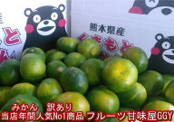 みかん　訳あり　約10kg （箱込10kg　9kg+保証分500g）熊本産 ご家庭用　フルーツ　果物 グルメ みかん …