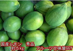 Y@Gi@TCY3L`SF{Y@1@5kg@80TCY