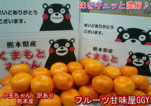 小玉ちゃん 訳あり 1箱 約5kg 熊本みかん フルーツ グルメ みかん ミカン 蜜柑 小粒 小粒みかん 小玉 小玉みかん 80サイズ