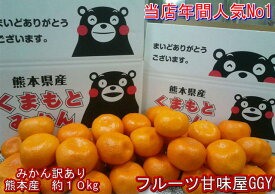 楽天市場 みかん 10kgの通販