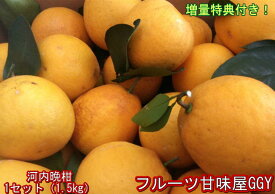 楽天市場 熊本 河内 みかんの通販