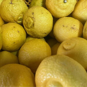 ͂邩@󂠂@5Li{300gۏؕ@v5.3kgj@݂@F{Y@݂ ~J@@nJ@T_݂@80TCY