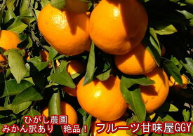 みかん　訳あり　約5kg　ひがし農園　福岡　八女産　こだわり絶品みかん　80サイズ