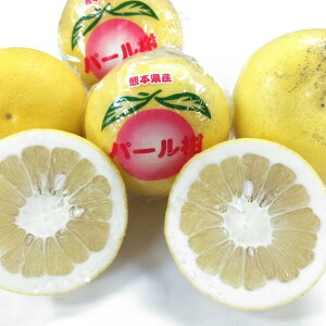 p[@󂠂@1@4Li{300gۏؕ@v4.3kgj U@yU̒ԁ@k@u^@F{Y@U@80TCY