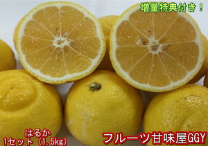 yZbgz͂邩@󂠂@1Zbg1.5kg@F{Y@2Zbgw1Zbg܂I3Zbgw3Zbg܂I@60TCY@݂ nJ@T_݂