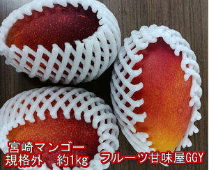 �y��1kg�z�{��}���S�[�@�󂠂�y�K�i�O�z���H�p�@�����Ղ��1�L���@�y���n�z�}���S�[�i�N�[���֔����j�y���������z�ꕔ�̒n��������@JA�{�蒆���@�͂܂䂤�@���с@�����񂹃O�����@6