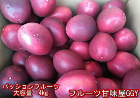 パッションフルーツ　大容量　4kg【熊本産】清田さんのパッションフルーツ【送料無料】一部の地域を除く　80サイズ