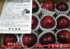 パッションフルーツ　約1kg（約9〜15玉）【熊本産】清田さんのパッションフルーツ【送料無料】一部の地域を除く　60サイズ