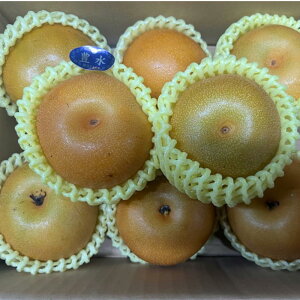 @󂠂@1.8kgi2`10ʁji킨CiLEHEHEVEȂǁjF{Y@@iV@Ȃ@60TCY