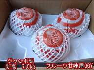 ジャンボ梨　訳あり　約7.5kg　新高梨　青秀　熊本産　荒尾　名産地　約6〜14玉入り　熊本地震　支援　応…