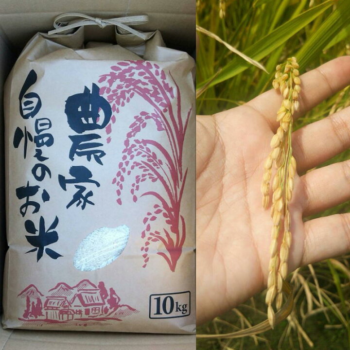 楽天市場】【自然栽培】ササニシキ 新米 無洗米 10kg 完全無農薬 有機  