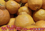 【蔵出し　貯蔵品】不知火　訳あり　デコポンと同品種　デコみかん　熊本産　約5kg　クール便発送　80サ…