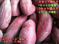 【セット】シルクスイート　蔵出し　訳あり 1セット（1.5kg）2セット購入で1セットおまけ！3セット購入で…