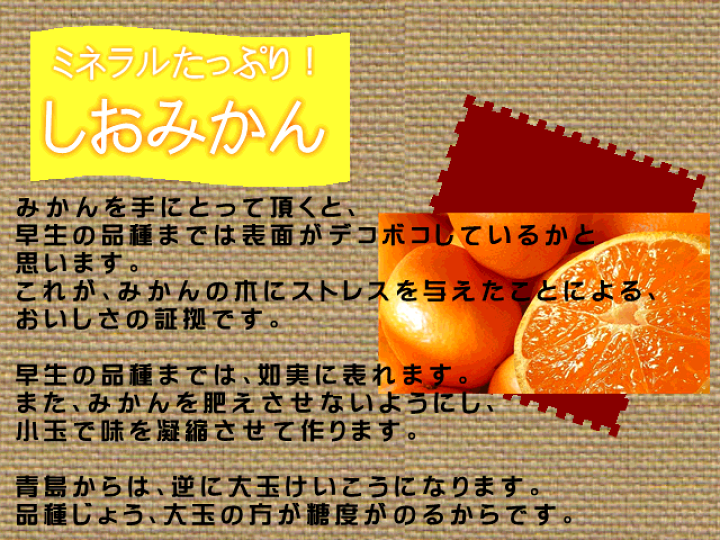 楽天市場】しおみかん 訳あり 5キロ みかん 味に自信!!（しお