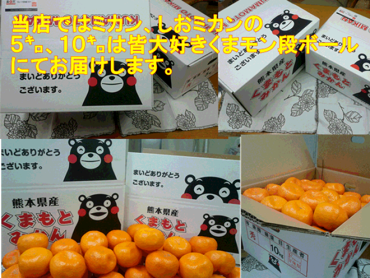 楽天市場】【セット】小玉ちゃん 訳あり 1セット1.5kg 熊本産 2セット購入で1セットおまけ!3セット購入で3セットおまけ!熊本産 ご家庭用 フルーツ 果物 みかん 熊本みかん 60サイズ : フルーツ甘味屋GGY 楽天市場】【セット】小玉ちゃん 訳あり 1セット1.5kg 熊本産 2セット購入で1セットおまけ!3セット購入で3セットおまけ!熊本産 ご家庭用 フルーツ 果物 みかん 熊本みかん 60サイズ : フルーツ甘味屋GGY