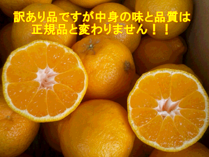 楽天市場】不知火 訳あり 箱込10キロ(9kg+保証分500g 楽天市場】不知火 訳あり 箱込10キロ(9kg+保証分500g