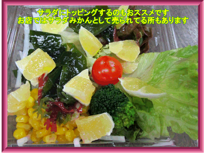 熊本産はるか訳あり・10キロ【送料無料】