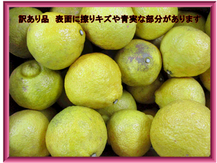 楽天市場】はるか 訳あり 箱込10キロ(9kg+保証分500g 楽天市場】はるか 訳あり 箱込10キロ(9kg+保証分500g