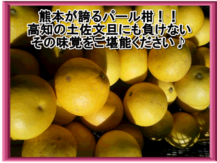 楽天市場】パール柑 訳あり 1箱 箱込9キロ(8kg+保証分 楽天市場】パール柑 訳あり 1箱 箱込9キロ(8kg+保証分