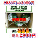 熊本産　小玉スイカ【ひとりじめ】訳あり　約8キロ【箱込】3〜6玉入り送料無料【一部の地域を除く】 ランキングお取り寄せ