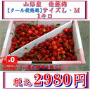 山形産　さくらんぼ　【佐藤錦】1キロ　サイズL・M　クール便発送【送料無料】一部の地域を除く ランキングお取り寄せ