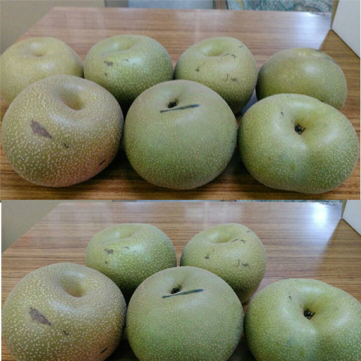 楽天市場】梨 訳あり(豊水・秋月・新高・愛宕など)約5kg(約5〜24玉)熊本産 梨 ナシ なし : フルーツ甘味屋GGY 楽天市場】梨 訳あり(豊水・秋月・新高・愛宕など)約5kg(約5〜24玉)熊本産 梨 ナシ なし : フルーツ甘味屋GGY