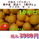 【エントリーで10倍】不知火 訳あり デコポンと同品種 熊本産1箱 箱込10キロ(9kg+保証分500g)【送料無料】(一部の地域を除く)