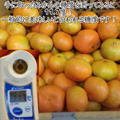 楽天市場 みかん 訳あり 約10kg 箱込10kg 9ｋｇ 保証分500ｇ 熊本産 ご家庭用 フルーツ 果物 送料無料 一部の地域を除く フルーツ甘味屋ggy