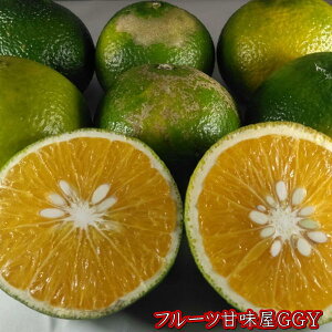 XC[gXvO@󂠂@10Li9kg+ۏؕ500gjF{Y@yzꕔ̒n