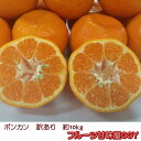 【エントリーで10倍】ポンカン 訳あり 1箱 箱込10キロ(9kg+保証分500g)熊本産【送料無料】一部の地域を除く