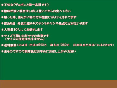 不知火(デコポン)熊本産訳あり10キロ【送料無料】(一部の地域を除く)