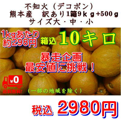 不知火(デコポン)熊本産訳あり10キロ【送料無料】